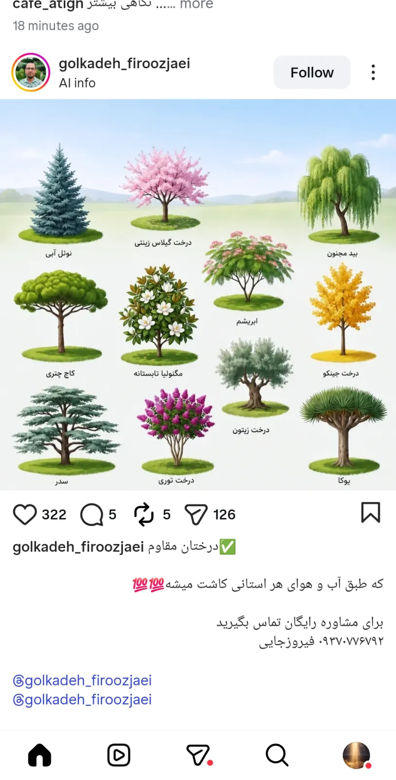 Image post
